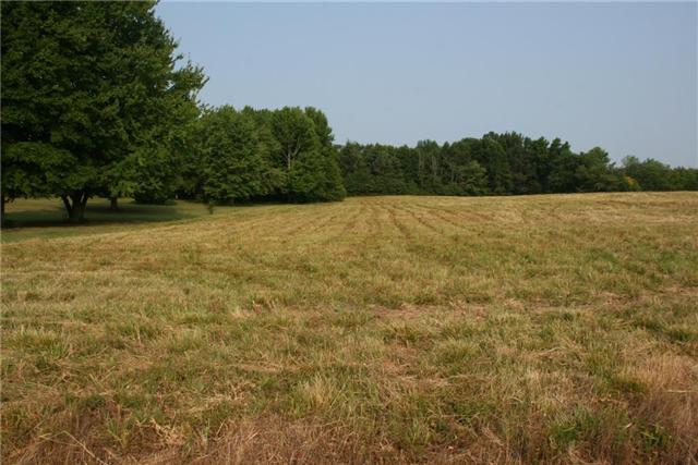 7237 Bidwell Road Joelton, TN 37080 - Photo 18 of 20 Gallery Image 18
