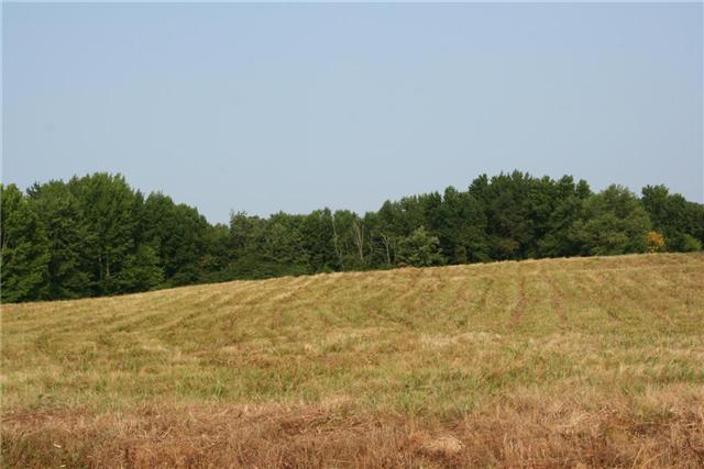 7237 Bidwell Road Joelton, TN 37080 - Photo 3 of 20 Gallery Image 3