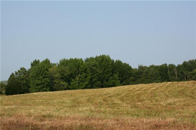 7237 Bidwell Road Joelton, TN 37080 - Photo 4 of 20 Gallery Image 4