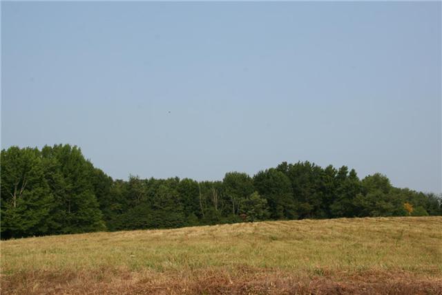 7237 Bidwell Road Joelton, TN 37080 - Photo 5 of 20 Gallery Image 5