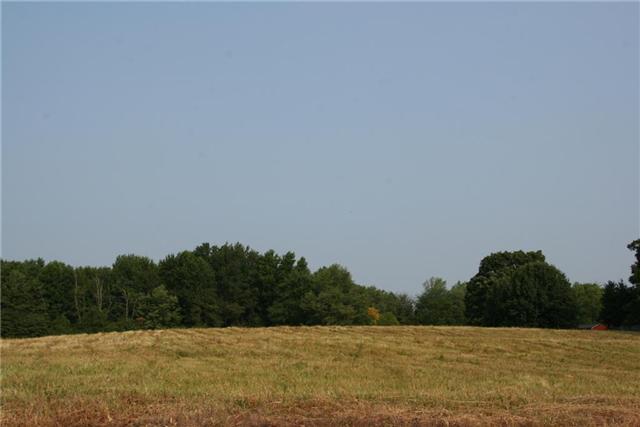 7237 Bidwell Road Joelton, TN 37080 - Photo 6 of 20 Gallery Image 6