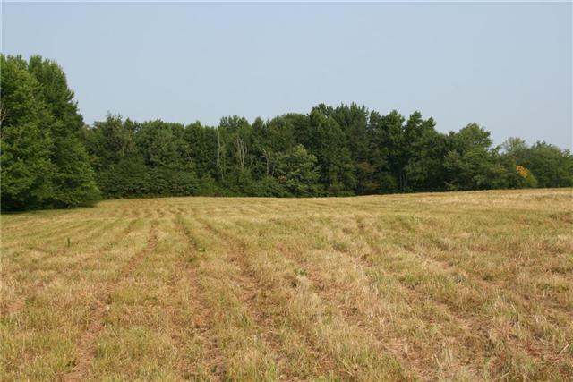 7237 Bidwell Road Joelton, TN 37080 - Photo 7 of 20 Gallery Image 7