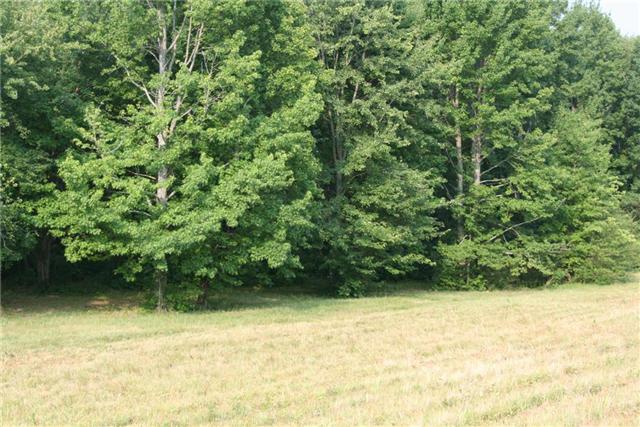 7237 Bidwell Road Joelton, TN 37080 - Photo 9 of 20 Gallery Image 9