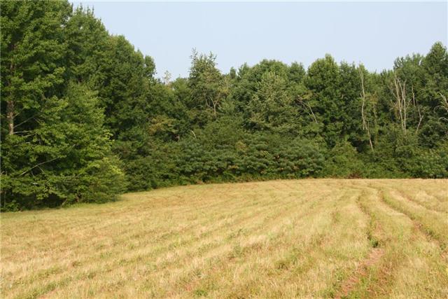 7237 Bidwell Road Joelton, TN 37080 - Photo 10 of 20 Gallery Image 10