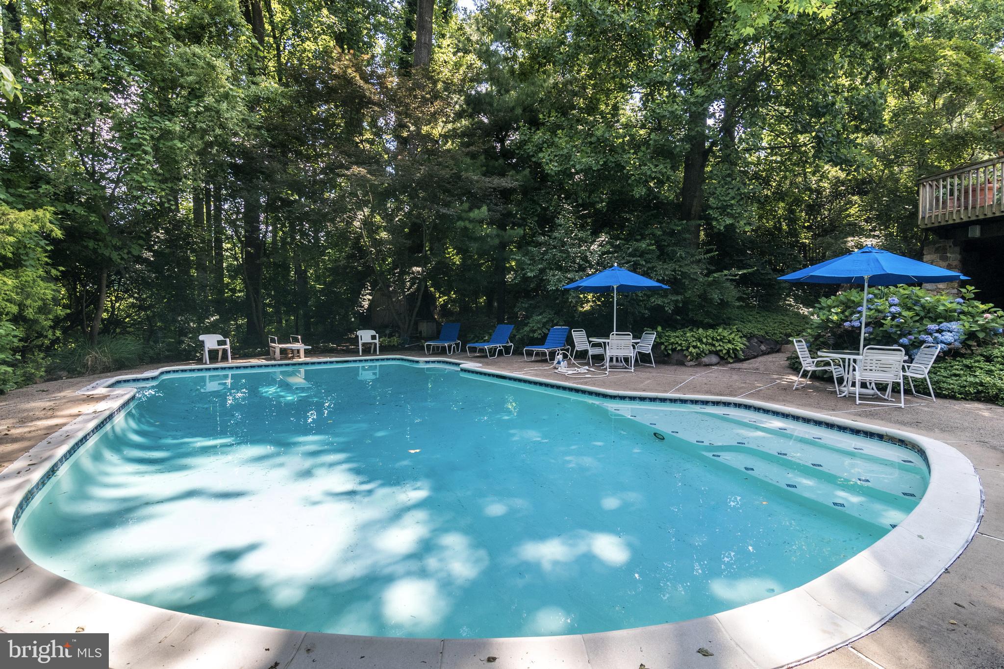 627 Harts Ridge Road Conshohocken, PA 19428 - Photo 47 of 51 Pool