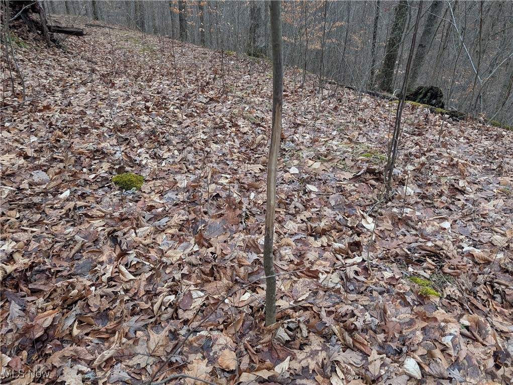 Brown Peavine Road Alledonia, OH 43902 - Photo 35 of 50