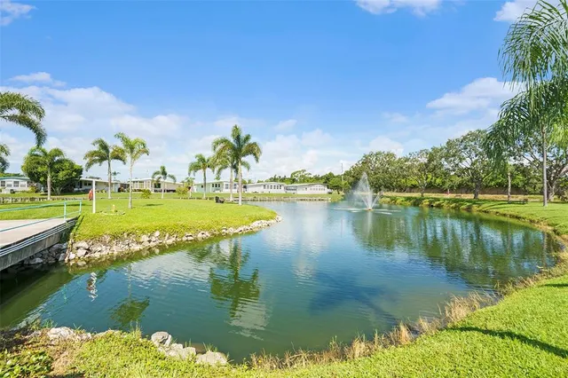 a view of a swimming pool with a garden and palm trees