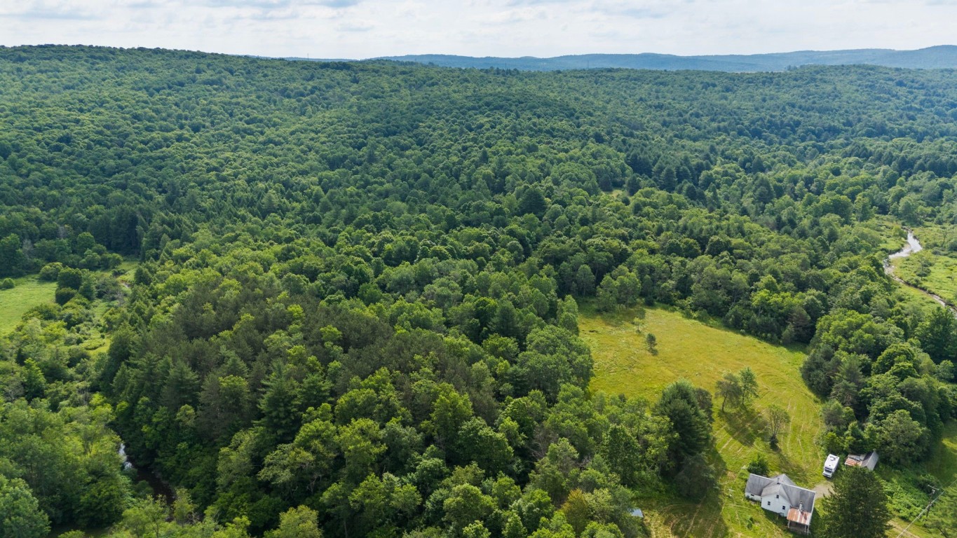 816 Nanticoke Road Maine, NY 13802 - Photo 5 of 39 Gallery Image 5
