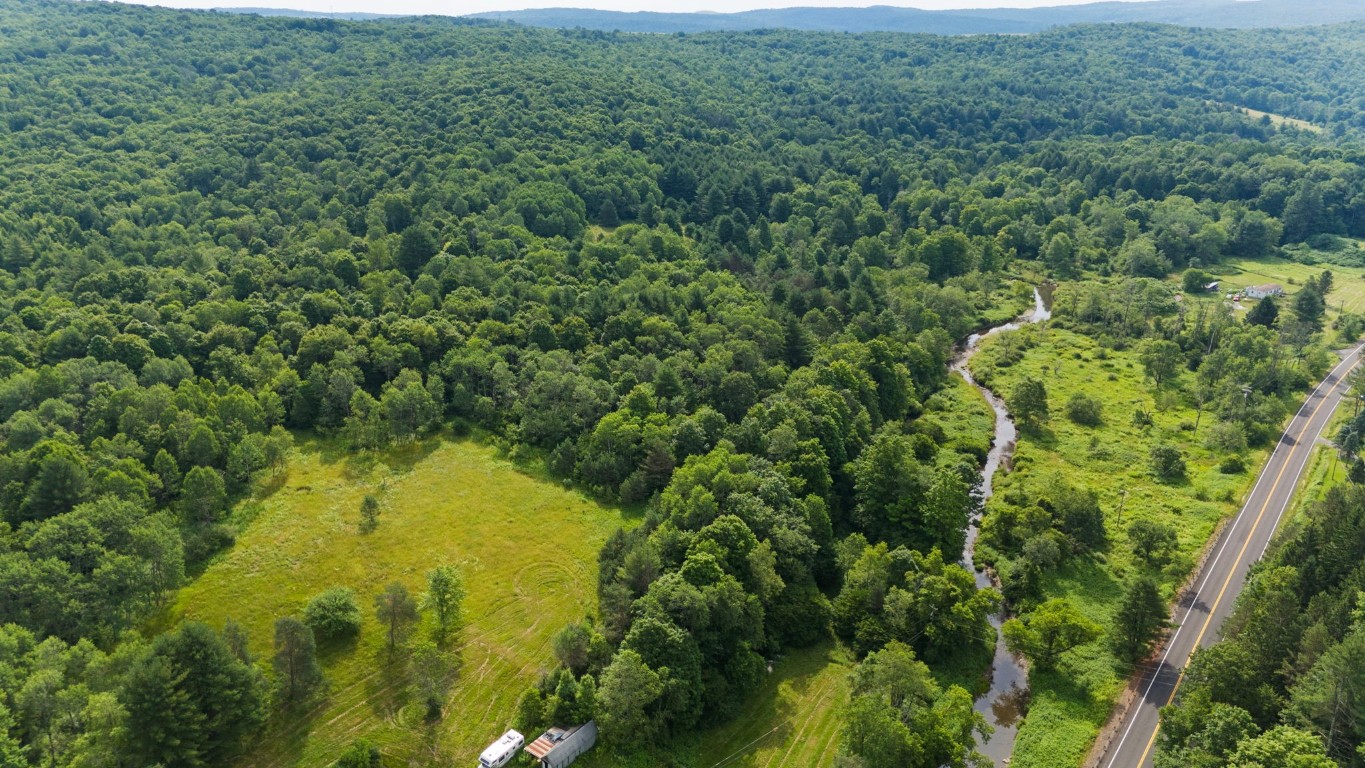 816 Nanticoke Road Maine, NY 13802 - Photo 9 of 39 Gallery Image 9