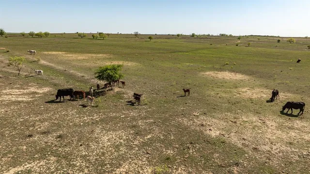 $999,000 | 90 County Road 515, Gustine, TX 76452