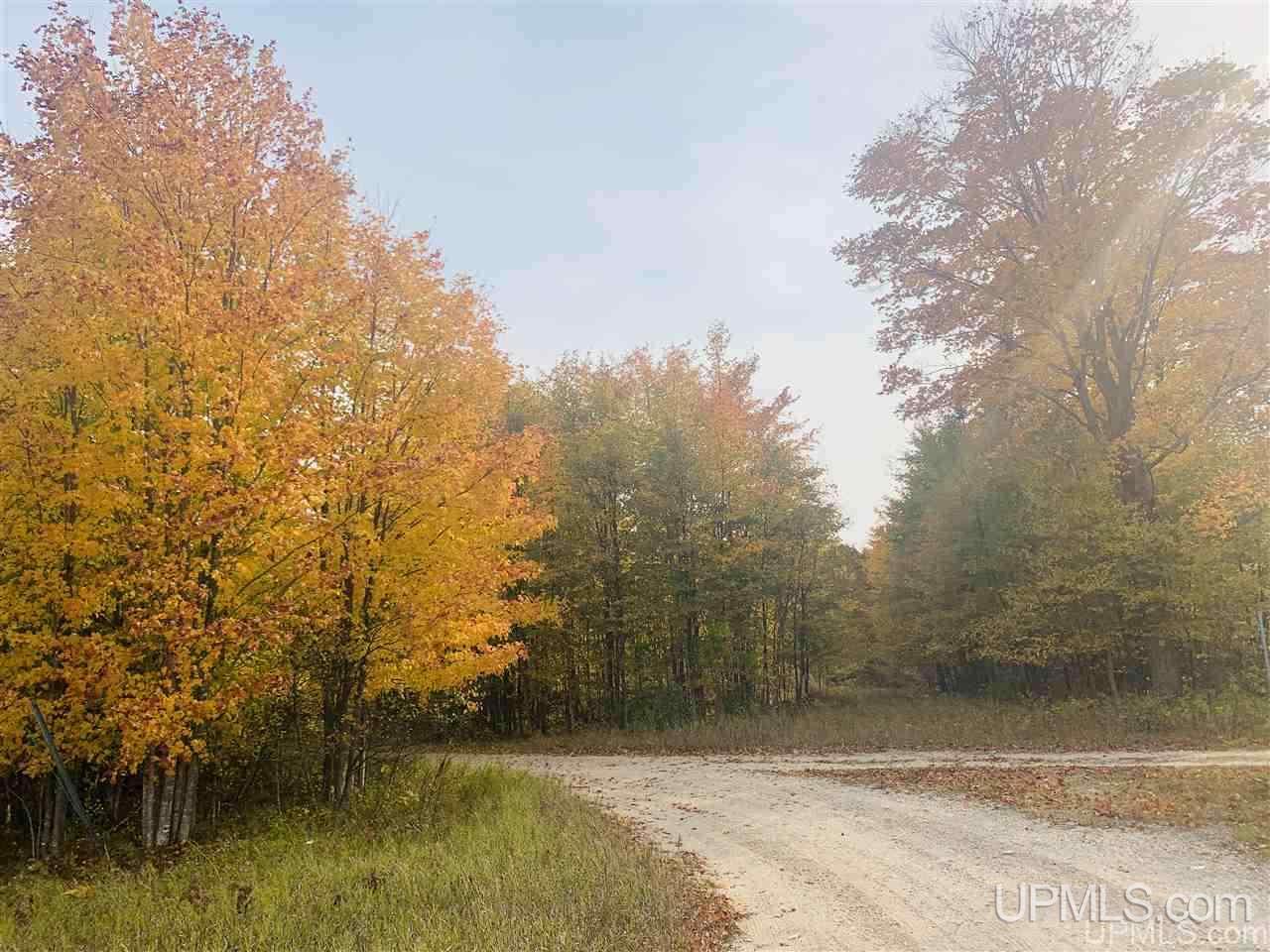 Tbd Off Of Flodin Road Garden, MI 49835 - Photo 2 of 13