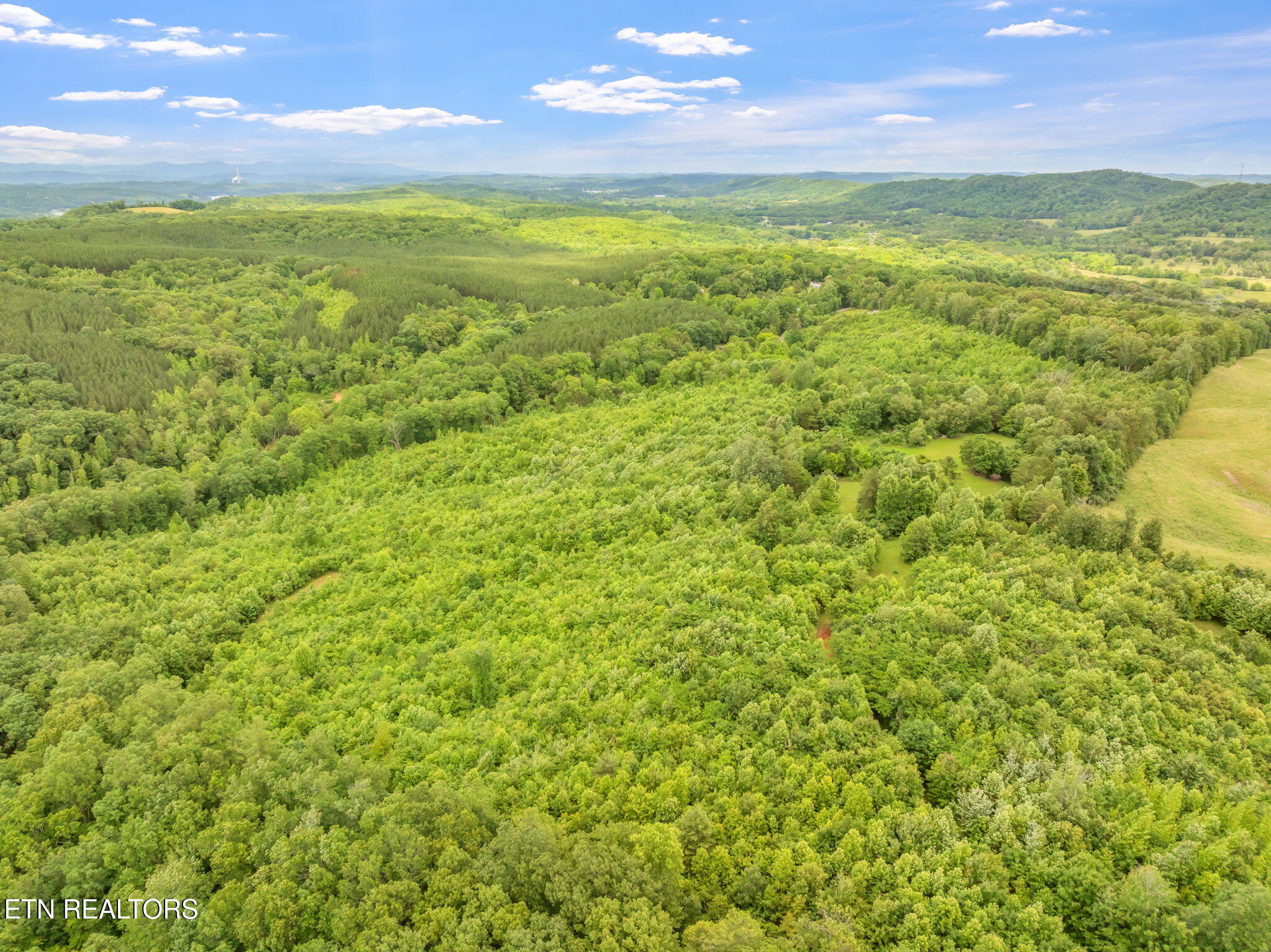 0 Grigsby Hollow Road Kingston, TN 37763 - Photo 25 of 34 16-web-or-mls-Grigsby Hollow Land-13