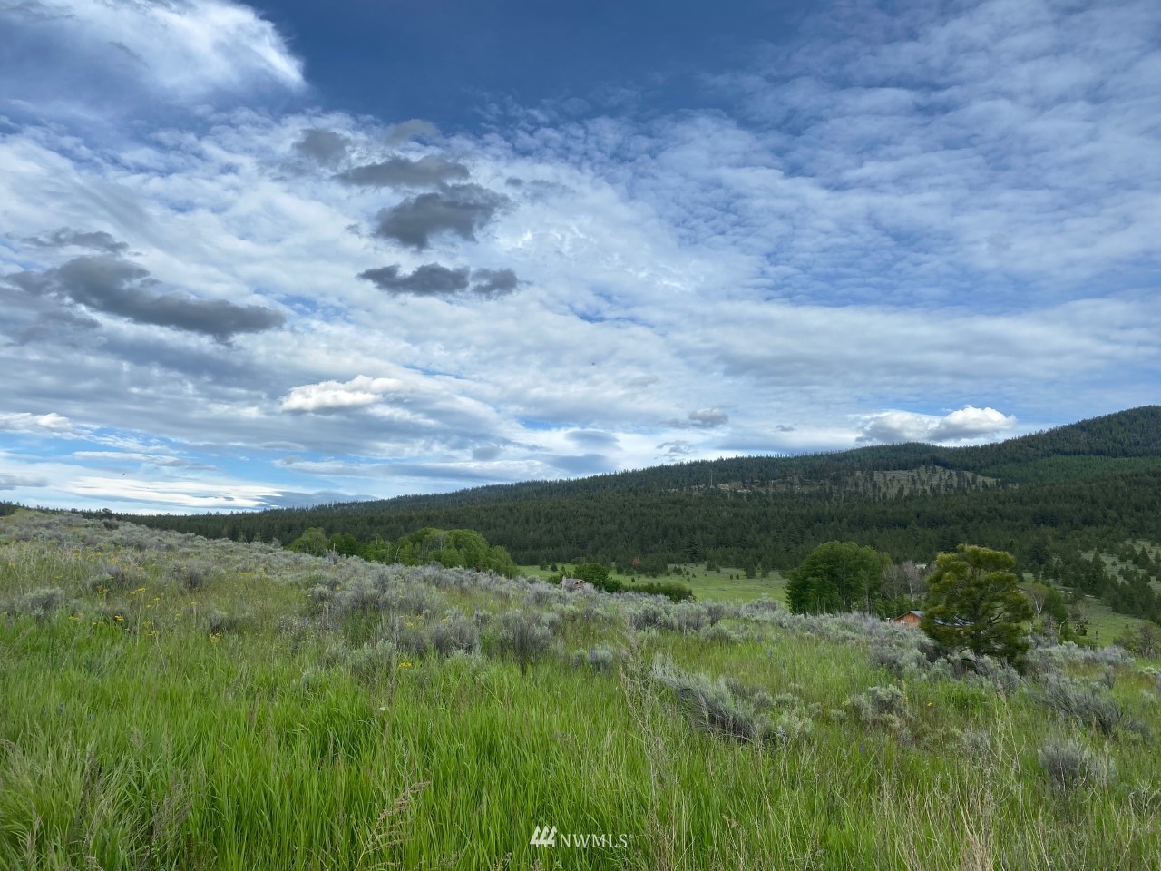 -tbd Crosswinds Road Tonasket, WA 98855 - Photo 4 of 10 Gallery Image 4