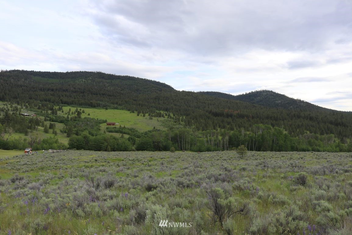 -tbd Crosswinds Road Tonasket, WA 98855 - Photo 8 of 10 Gallery Image 8