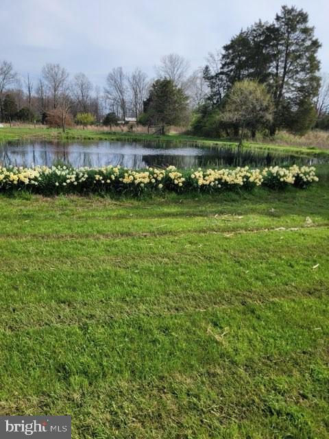 4715 Ruggles Road Taneytown, MD 21787 - Photo 52 of 55 a view of lake with green space