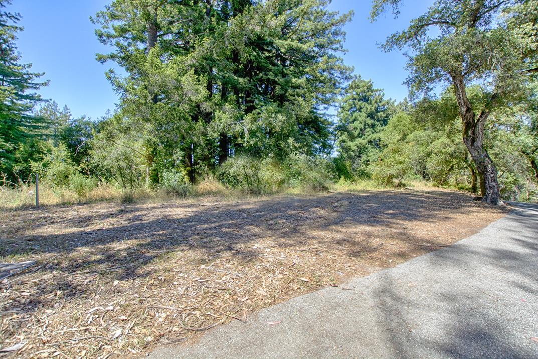 217 Gillette Road Watsonville, CA 95076 - Photo 15 of 16 a view of outdoor space with trees