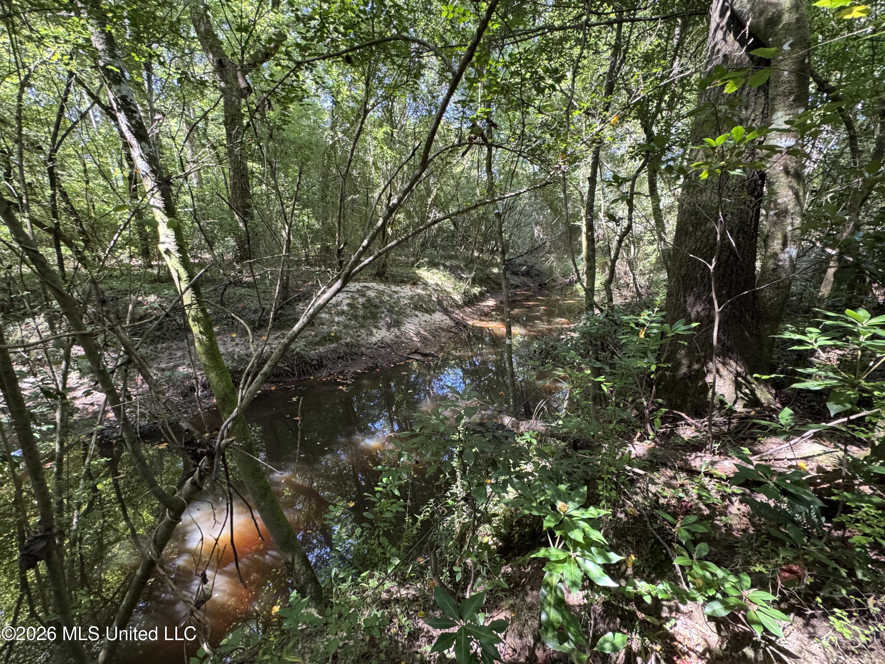 32 A Sauls Road Ruth, MS 39662 - Photo 21 of 22 Land-for-sale-Ruth-MS (21)