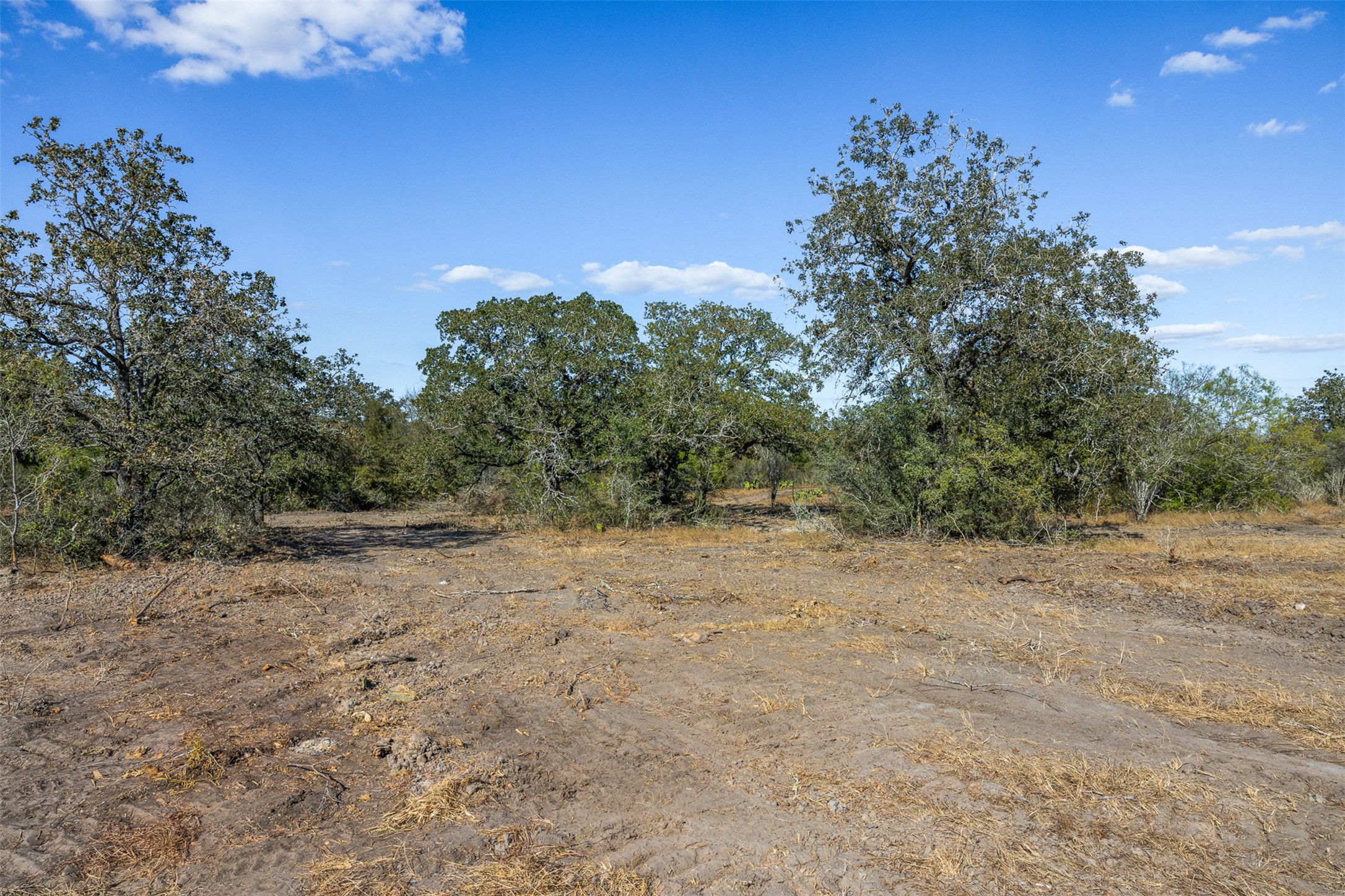 Lot 4 County Road 211 Smiley, TX 78159 - Photo 7 of 17 a view of dirt yard with a tree