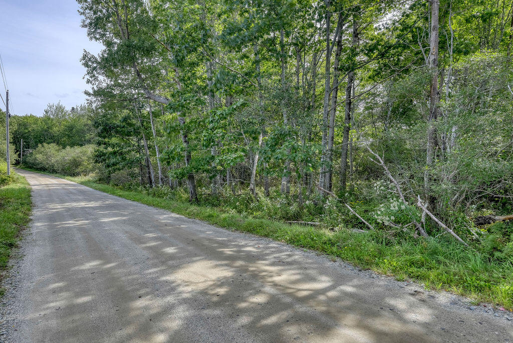 105 Oak Point Road Deer Isle, ME 04627 - Photo 13 of 20 OakPointshorefrontland-13