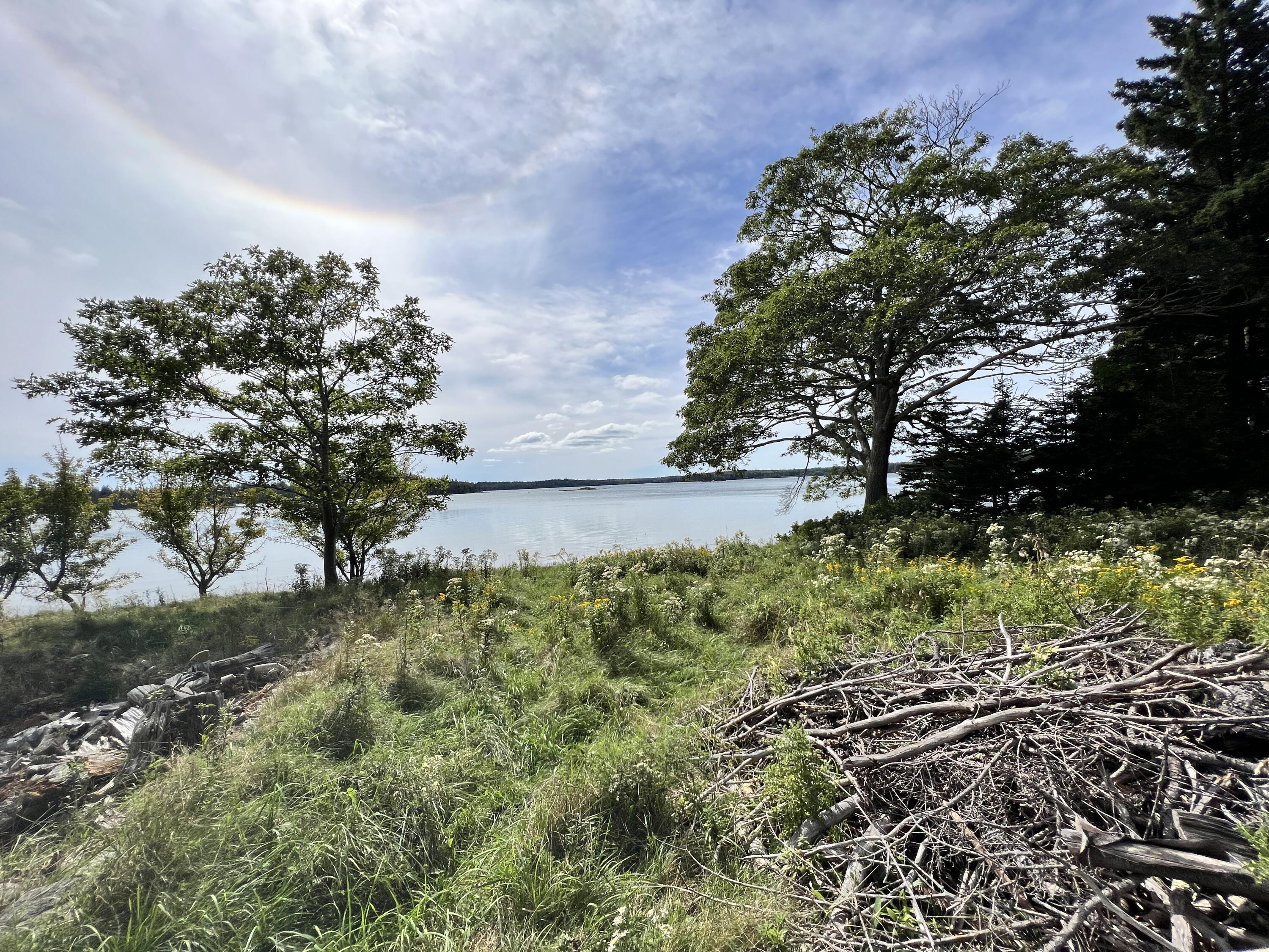 105 Oak Point Road Deer Isle, ME 04627 - Photo 15 of 20 OakPointshorefrontland