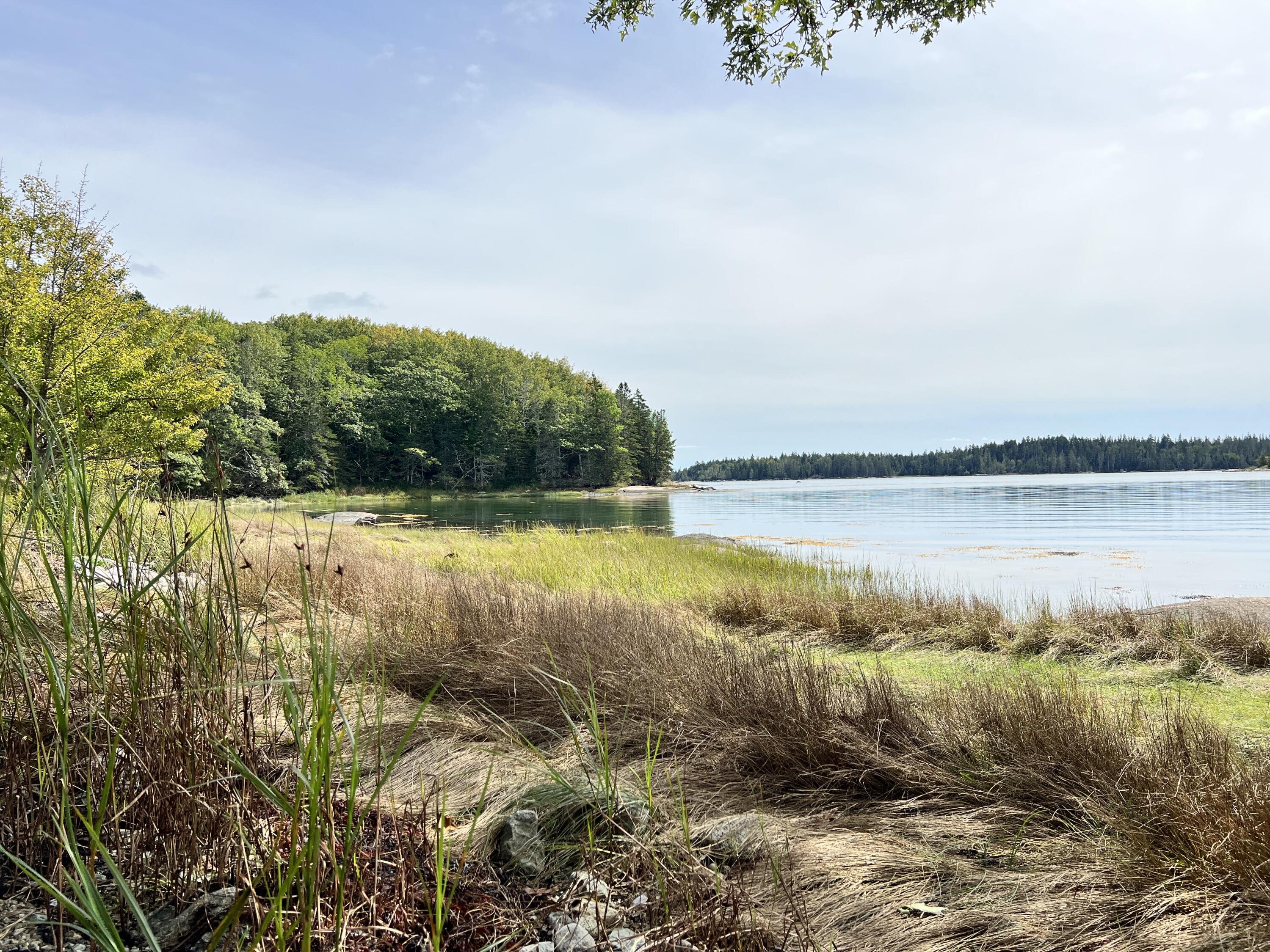 105 Oak Point Road Deer Isle, ME 04627 - Photo 17 of 20 OakPointshorefrontland