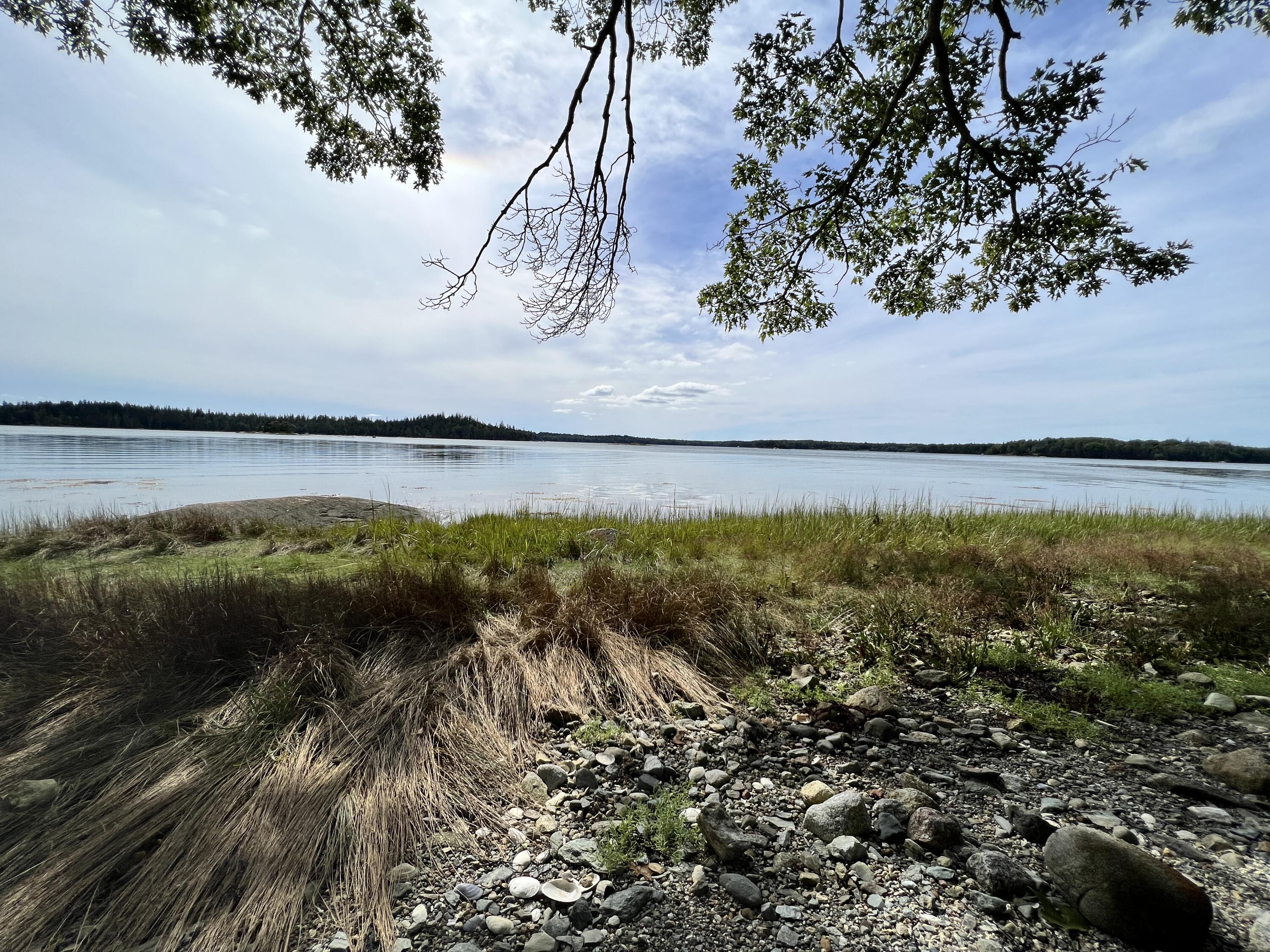 105 Oak Point Road Deer Isle, ME 04627 - Photo 18 of 20 OakPointshorefrontland
