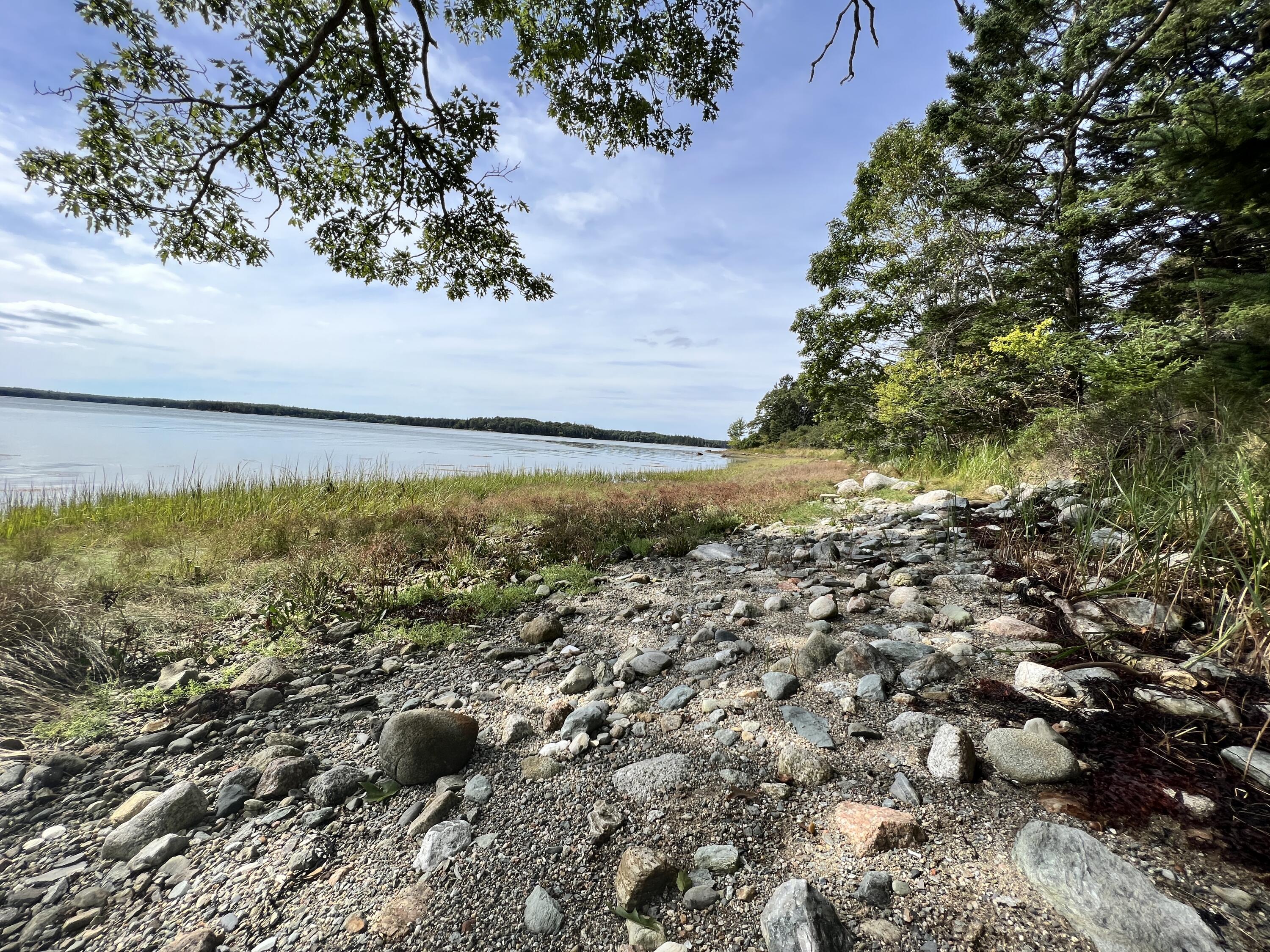 105 Oak Point Road Deer Isle, ME 04627 - Photo 19 of 20 OakPointshorefrontland