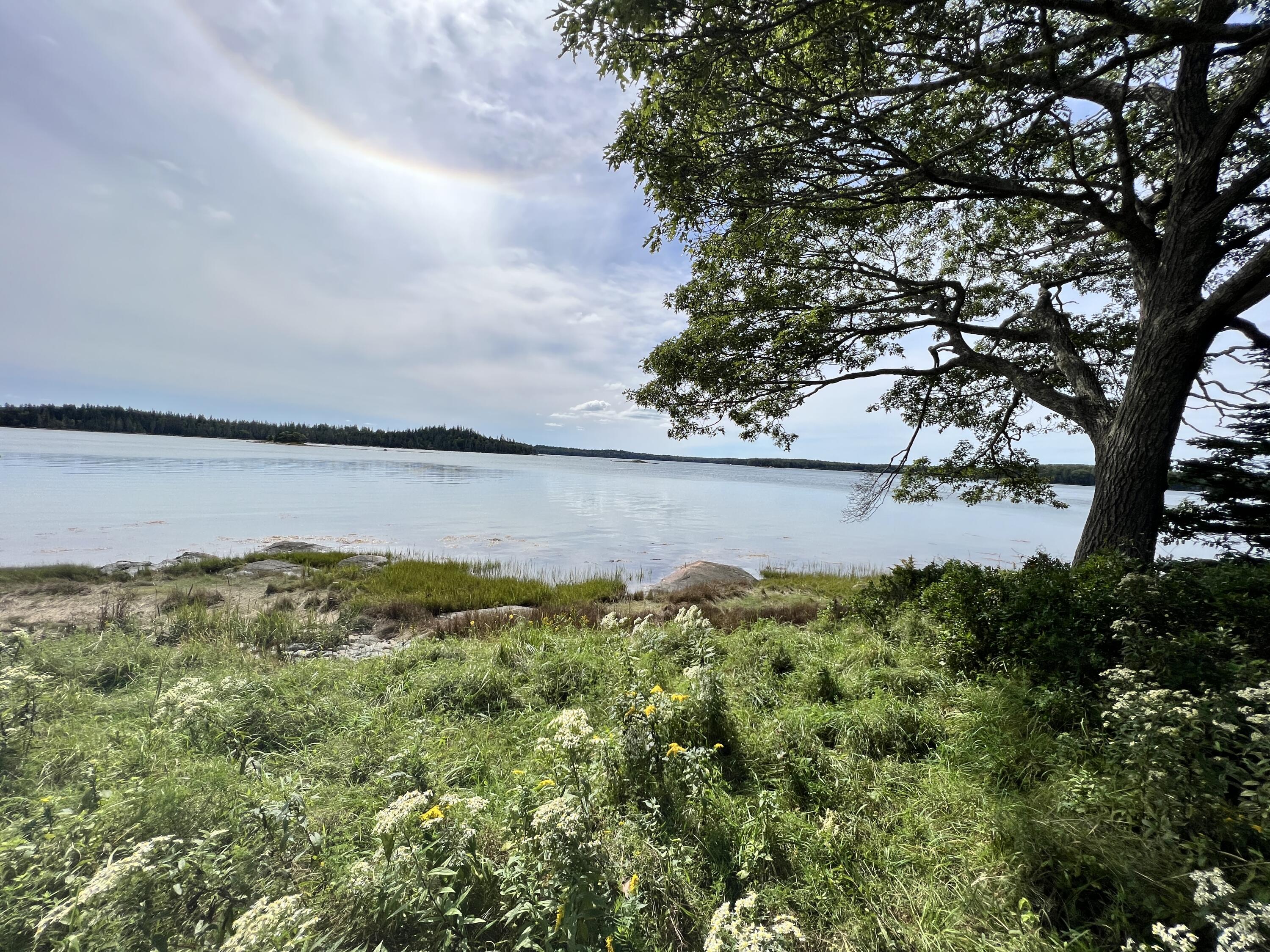 105 Oak Point Road Deer Isle, ME 04627 - Photo 20 of 20 OakPointshorefrontland