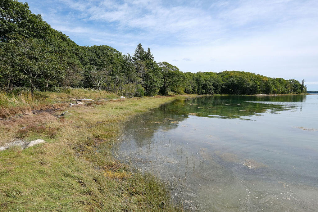 105 Oak Point Road Deer Isle, ME 04627 - Photo 7 of 20 OakPointshorefrontland-7