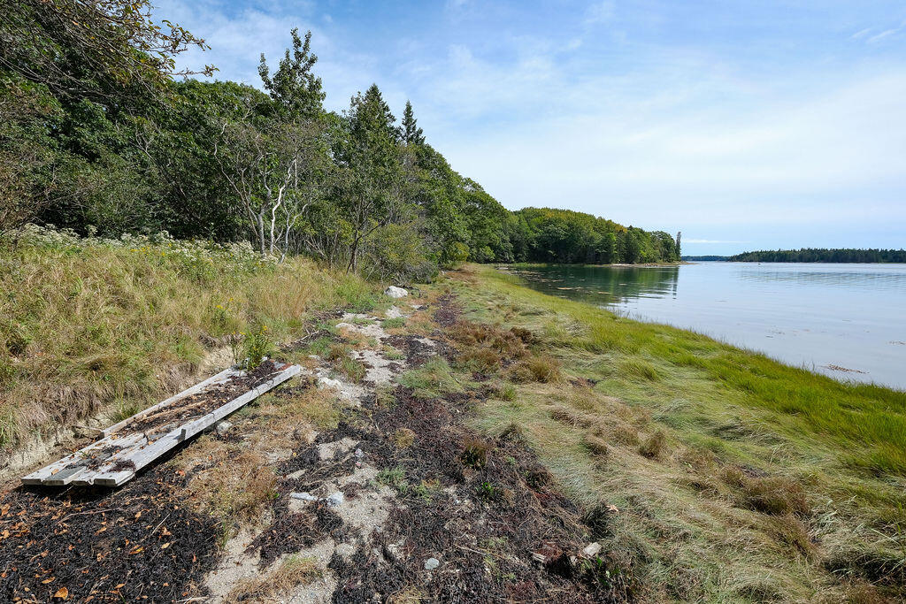105 Oak Point Road Deer Isle, ME 04627 - Photo 8 of 20 OakPointshorefrontland-8