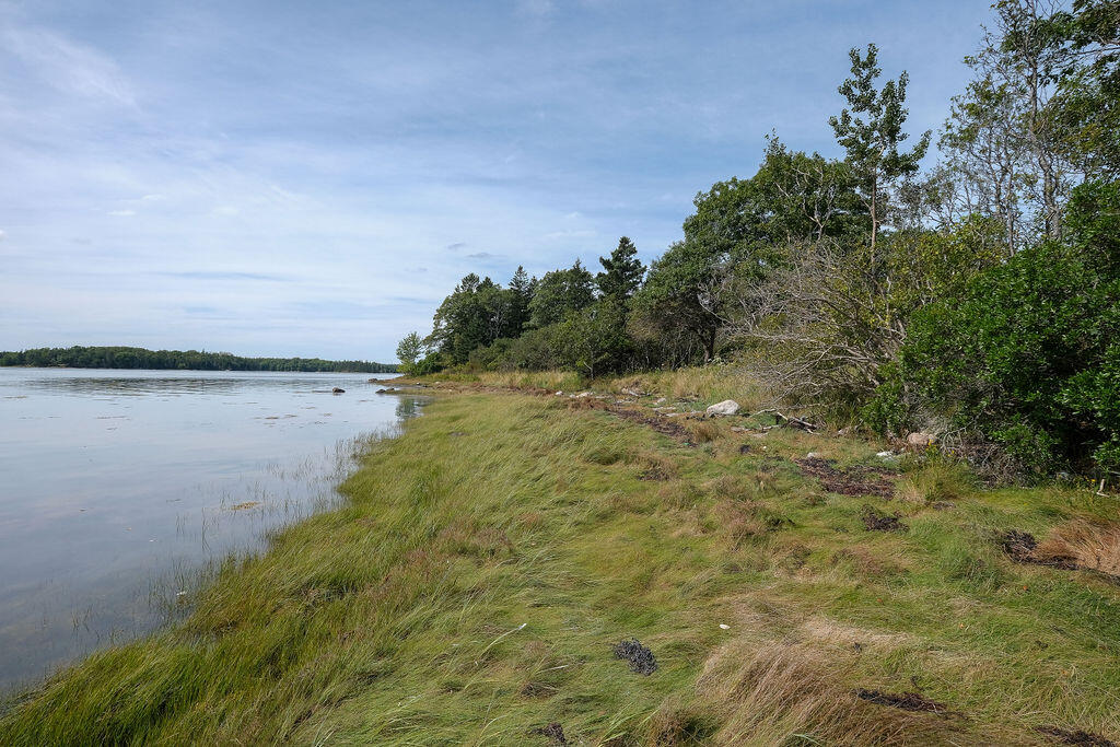 105 Oak Point Road Deer Isle, ME 04627 - Photo 9 of 20 OakPointshorefrontland-9