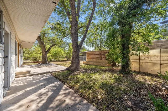 a view of a yard with plants and trees