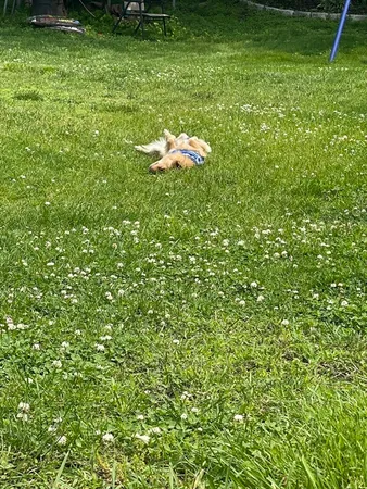 $509,000 | 16-18 Phelps Street, Unit 161, Salem, MA 01970