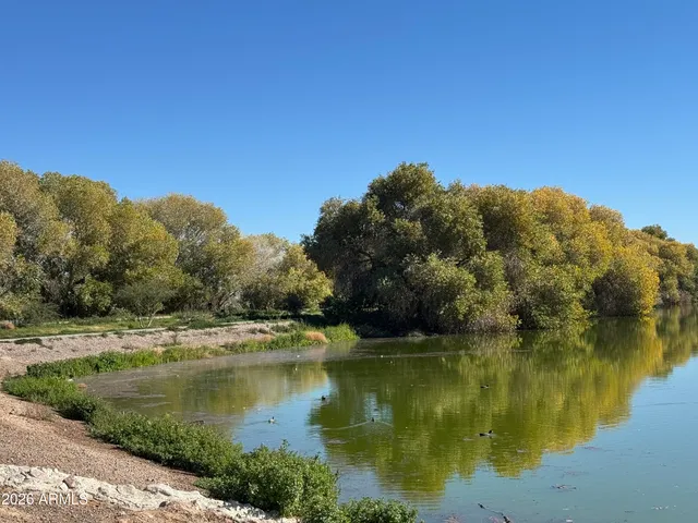 a view of a lake with houses in the background