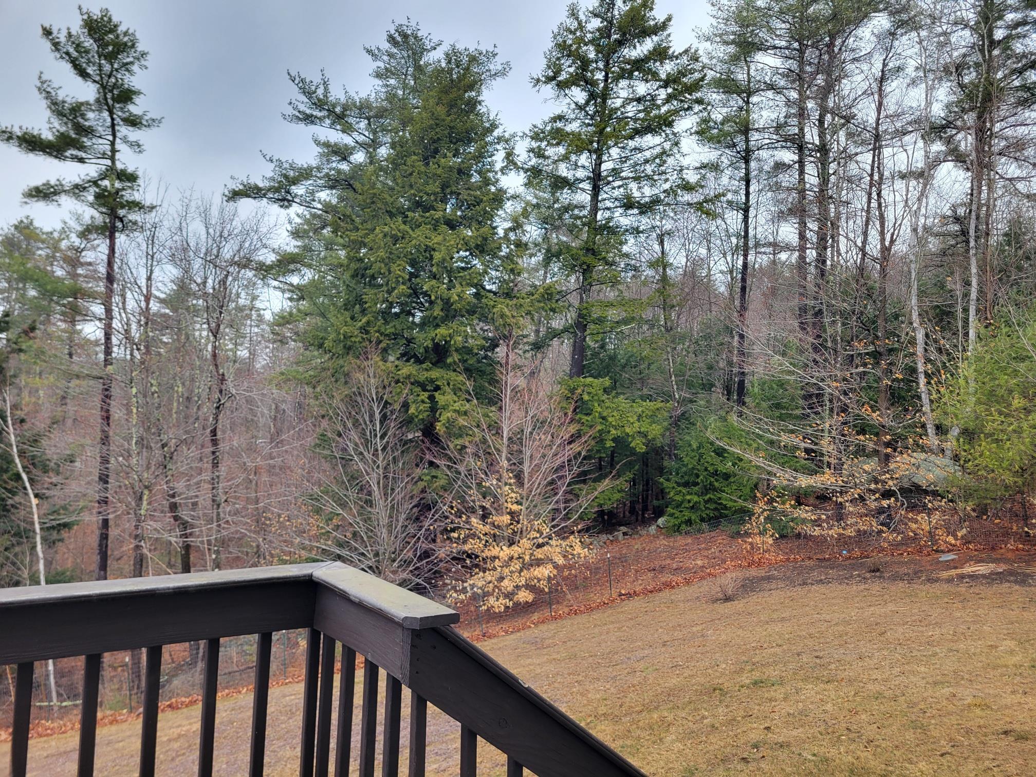 8 Scotts Lane Rindge, NH 03461 - Photo 35 of 38