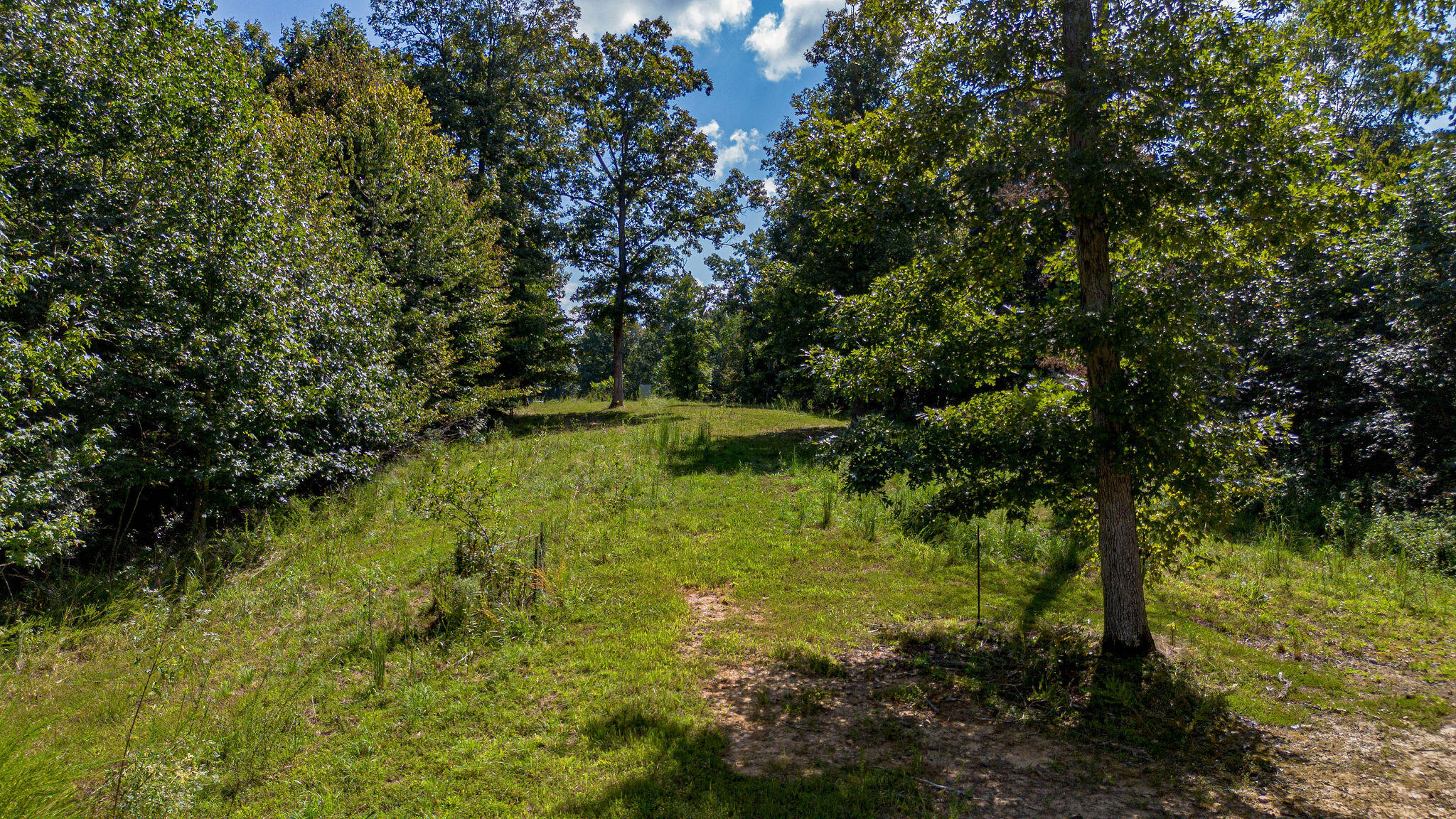 6861 Rockcastle Road Cadiz, KY 42211 - Photo 43 of 75 6861Rockcastle-56