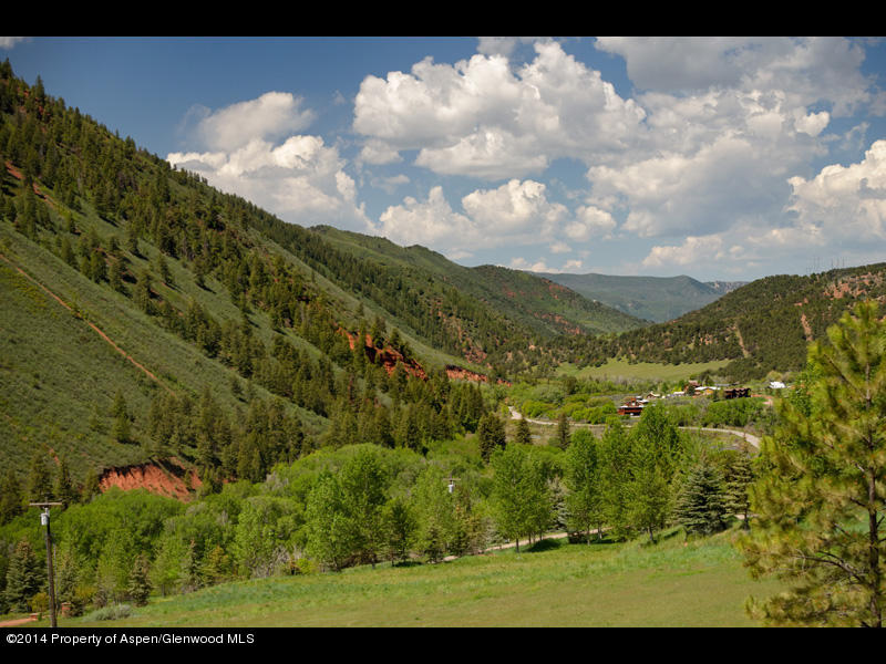217 Castle Lane Basalt, CO 81621 - Photo 10 of 22 217Castle_WEB_018