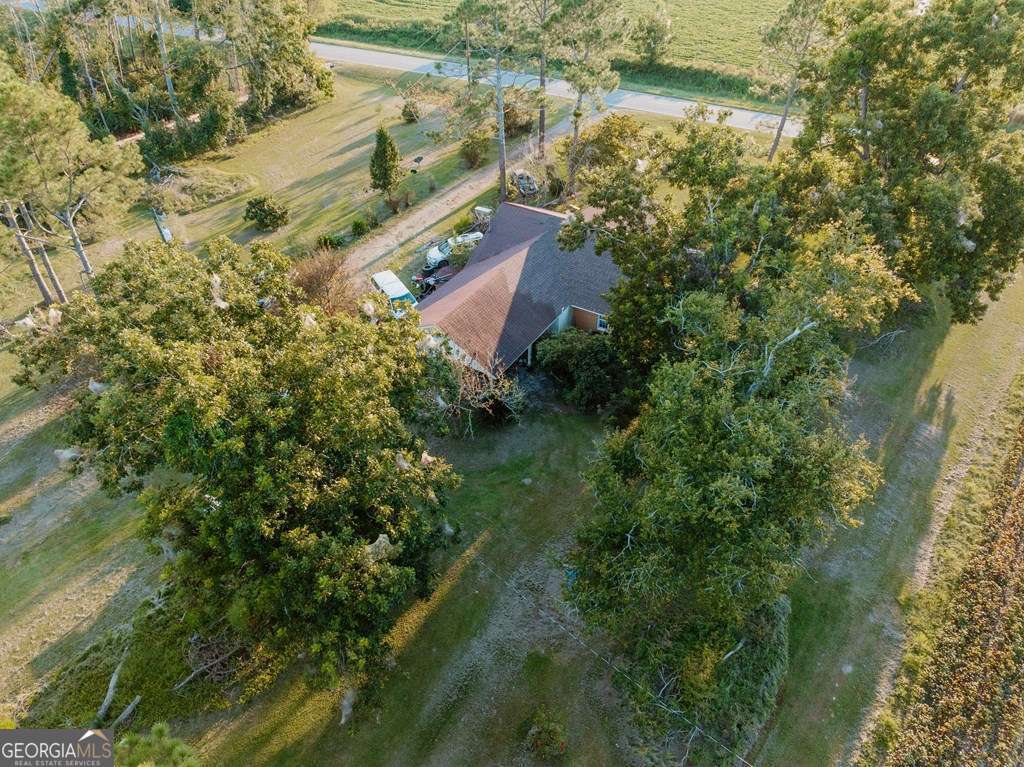 279 West W H Smith Road Denton, GA 31532 - Photo 11 of 12