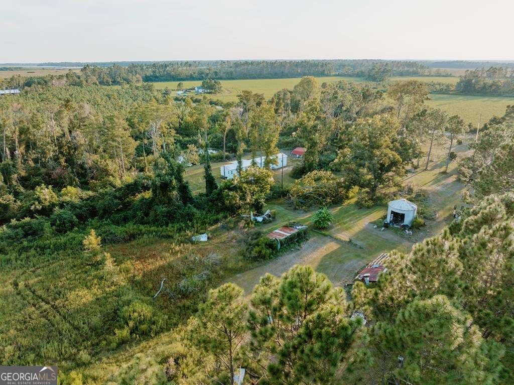 279 West W H Smith Road Denton, GA 31532 - Photo 6 of 12