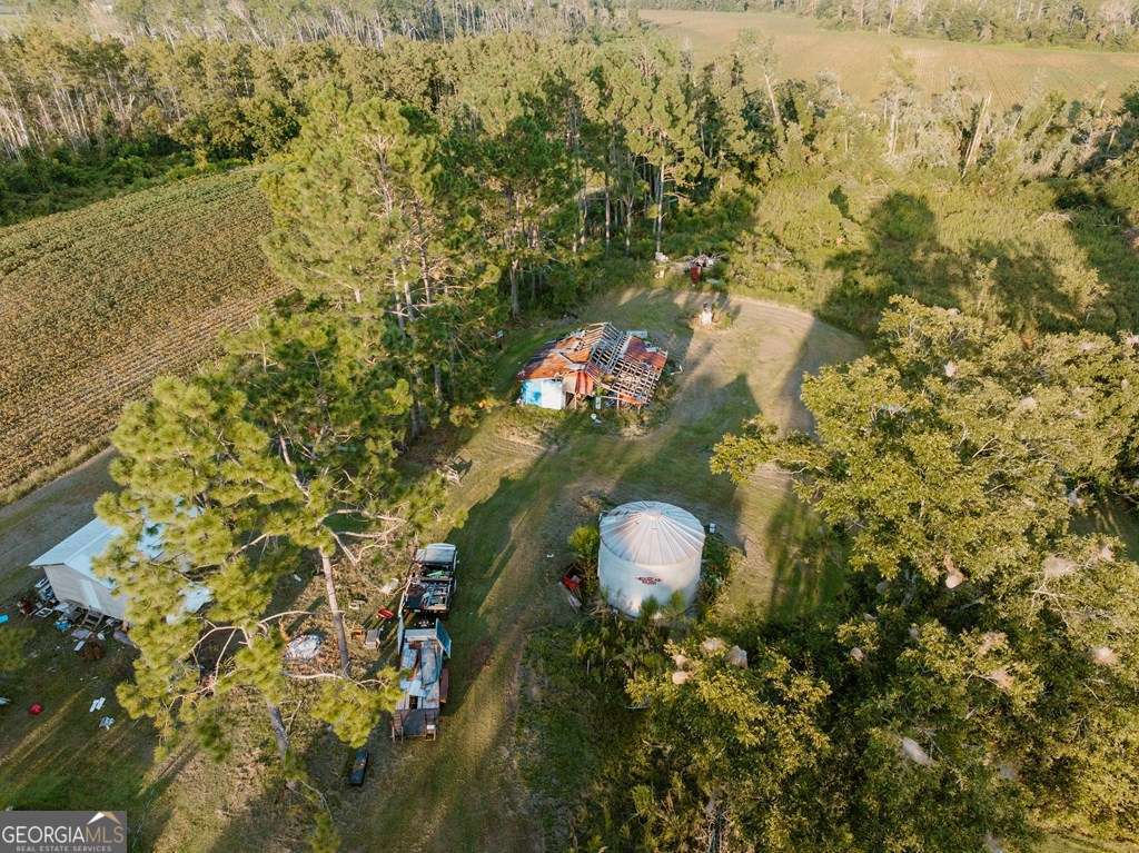 279 West W H Smith Road Denton, GA 31532 - Photo 7 of 12