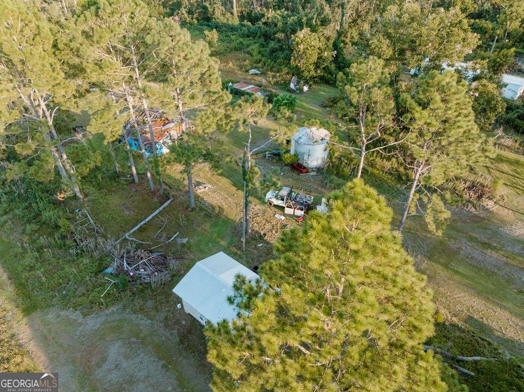 279 West W H Smith Road Denton, GA 31532 - Photo 10 of 12