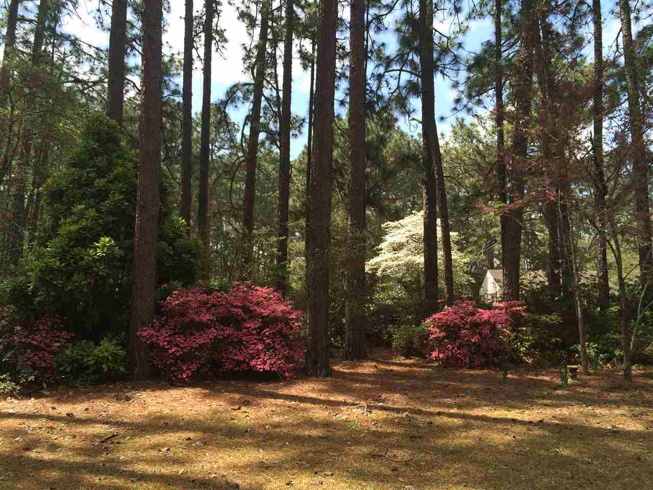 4616 Airport Road Pinehurst, NC 28374 - Photo 16 of 18 Additional Photo