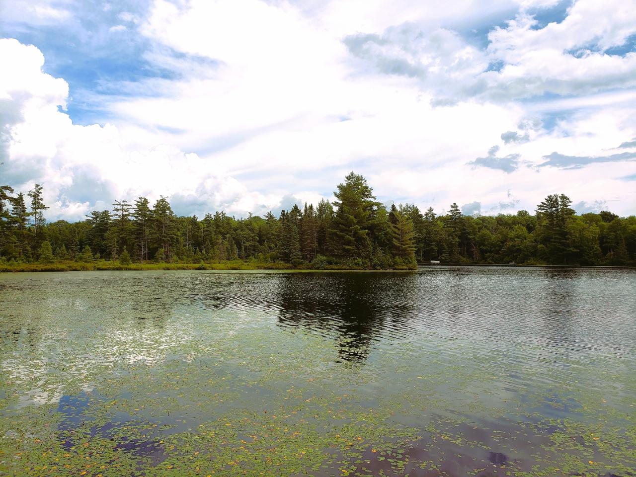 Lot 6 Blue Heron Ridge Road Mercer, WI 54547 - Photo 10 of 12 Gallery Image 10