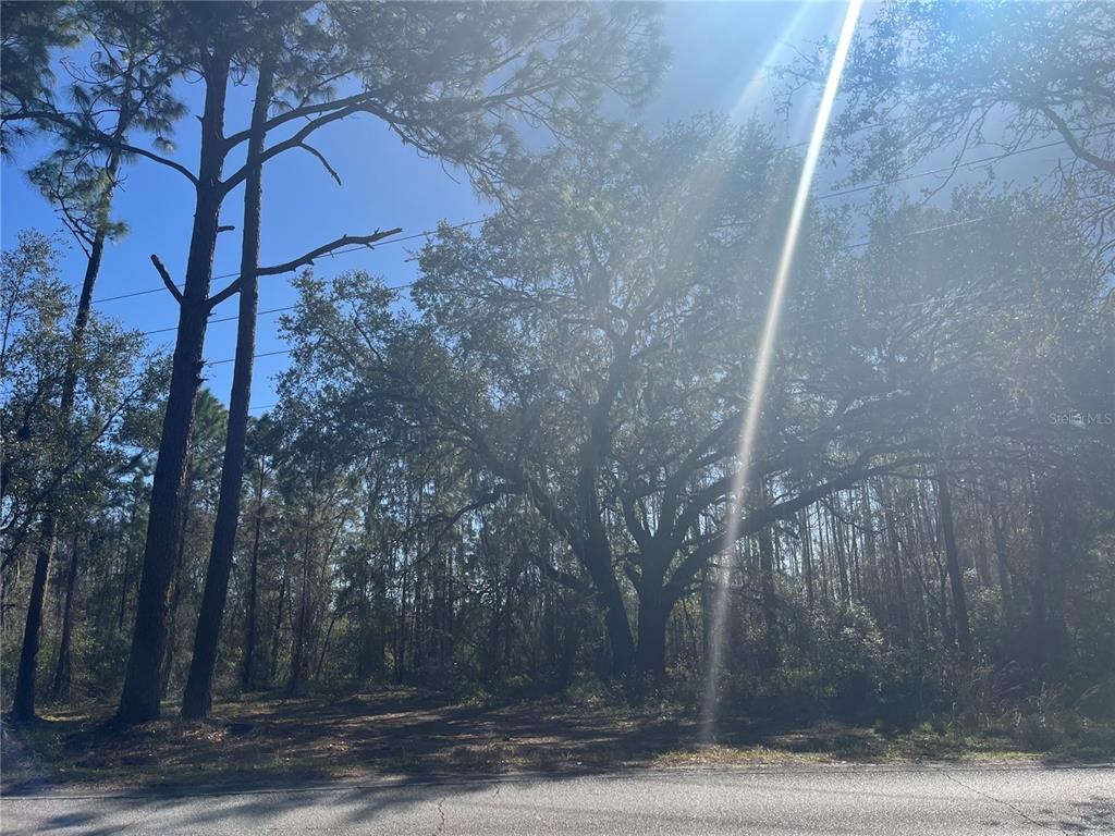 Mt Pleasant Road Groveland, FL 34736 - Photo 5 of 15