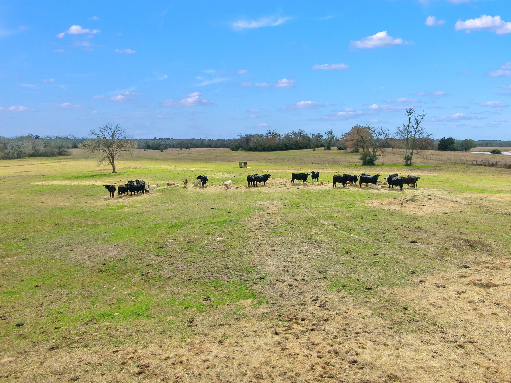 0 Pleasant Grove Road Iola, TX 77861 - Photo 12 of 17 a view of a lake view