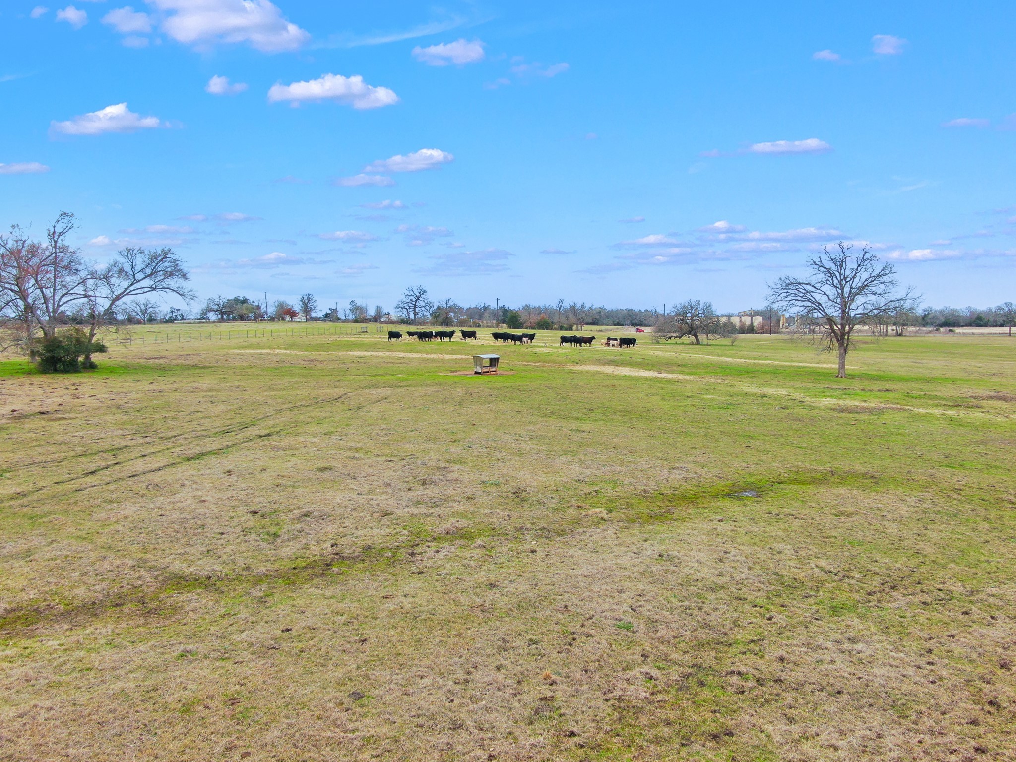 0 Pleasant Grove Road Iola, TX 77861 - Photo 15 of 17 a view of an ocean and a mountain