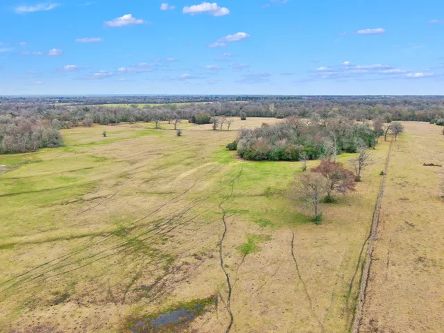 a view of an ocean beach