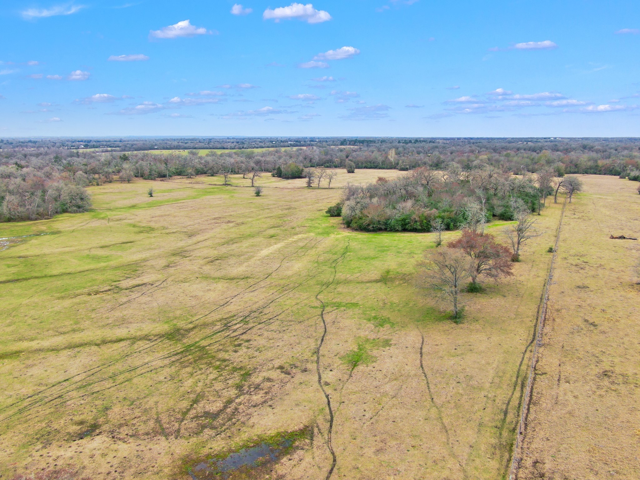 0 Pleasant Grove Road Iola, TX 77861 - Photo 16 of 17 a view of an ocean beach