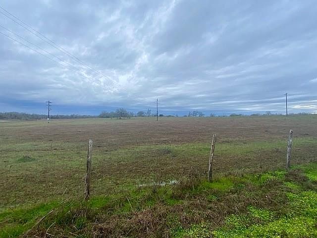 0 Pleasant Grove Road Iola, TX 77861 - Photo 3 of 17 a view of a garden with a tree