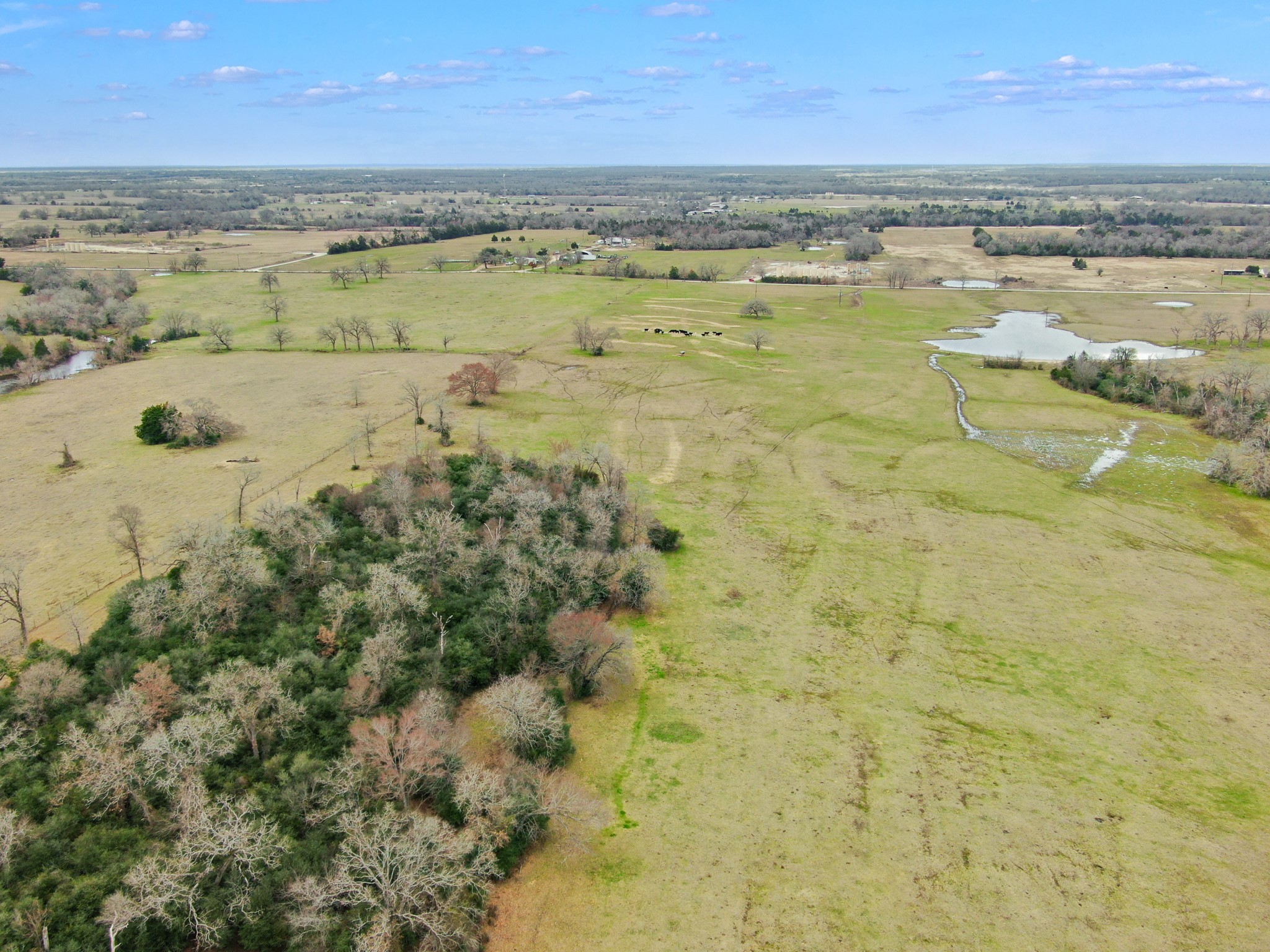 0 Pleasant Grove Road Iola, TX 77861 - Photo 4 of 17 a view of an ocean and beach